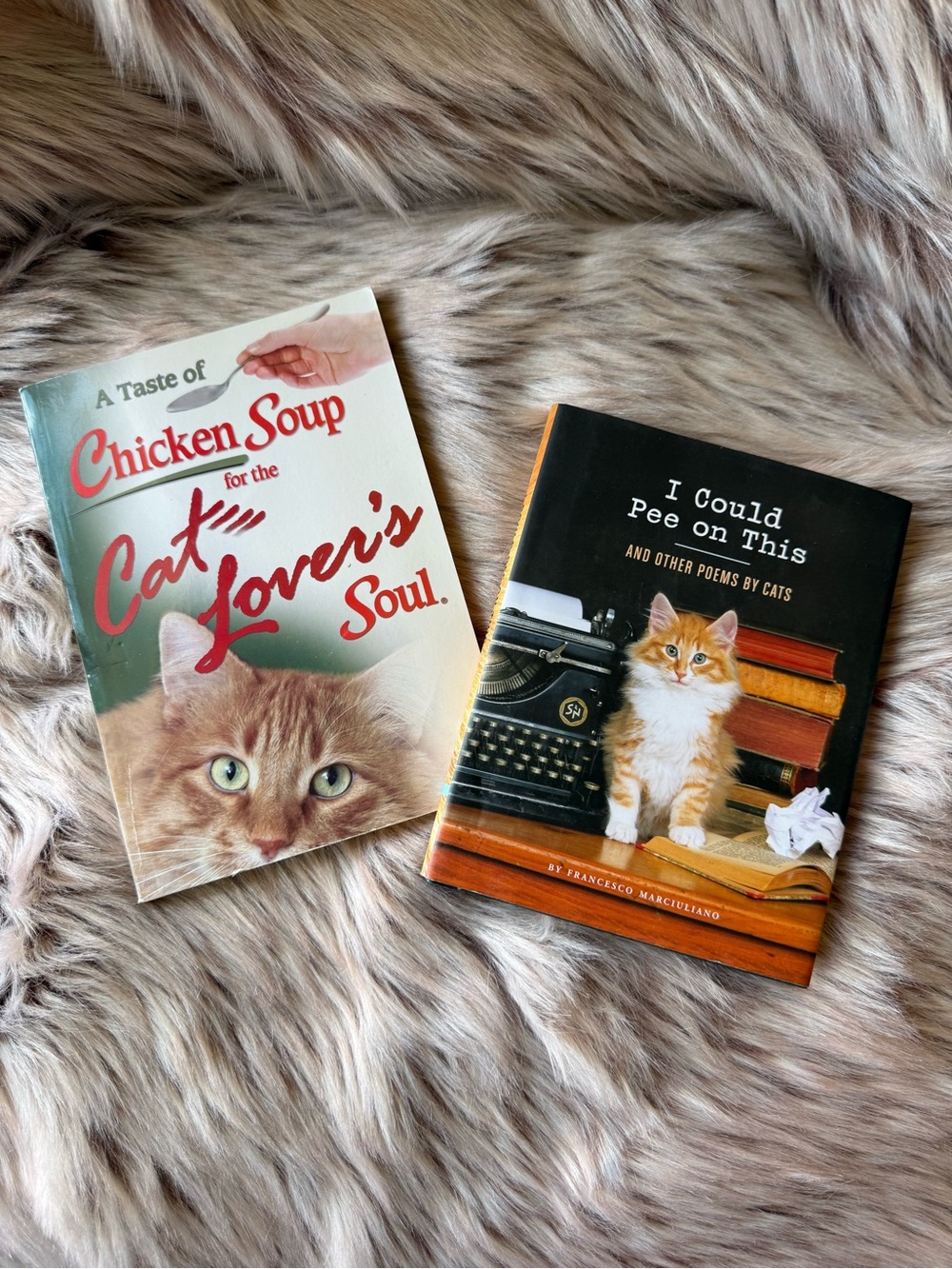 Cat Lover Books 2